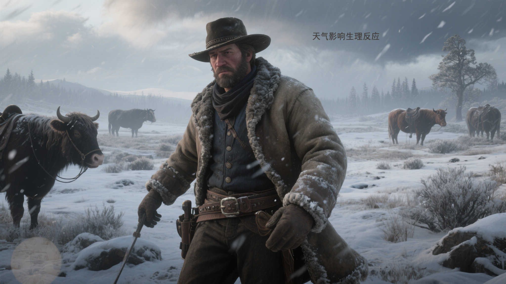 细节怪!大表哥2马蛋蛋会热胀冷缩 GTA6也会如此吗? 细节怪!大表哥2马蛋蛋会热胀冷缩 GTA6也会如此吗?